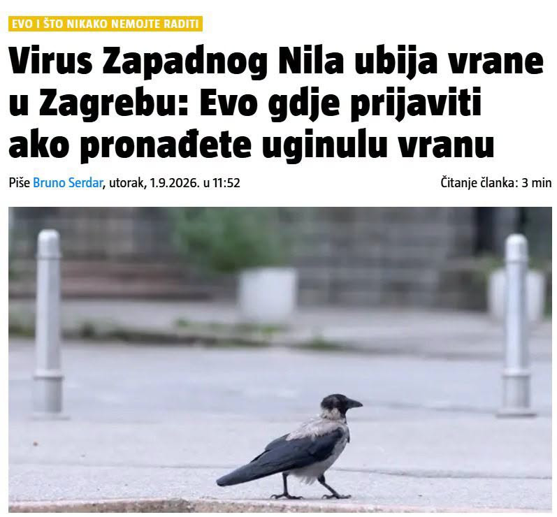 Vrane